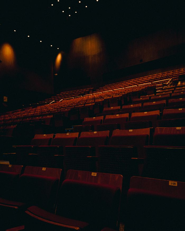 Dark interior of an empty theater with rows of seats, creating a moody atmosphere.